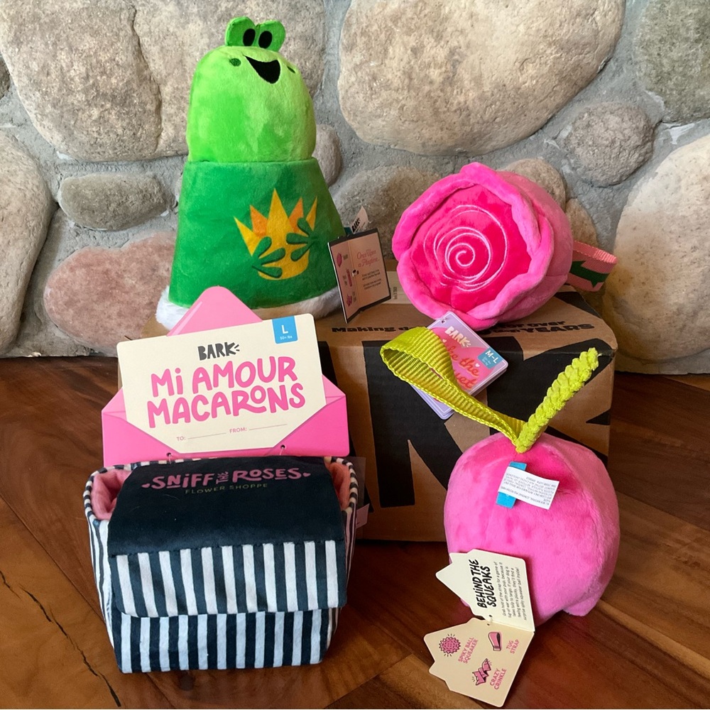 NIB Bark Box Fairy Tales